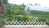 20160619_153641.jpg