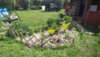 20160619_131109.jpg