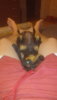 IMG_2016-07-25_000048.jpg