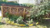 20160820_102838.jpg
