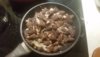20160417_220619_1472493587775.jpg