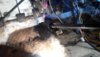 IMG-20160828-WA0000.jpg