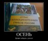 1442529422_demotivary-36.jpg