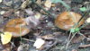 20160923_105114_LLS.jpg