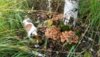 20160924_150054.jpg