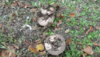 20160929_134014.jpg