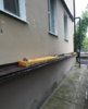 1468309701_zhtht-13.jpg