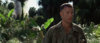 forest-gamp-2.jpg